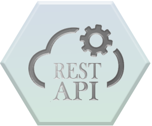 DrengrTec - API Icon