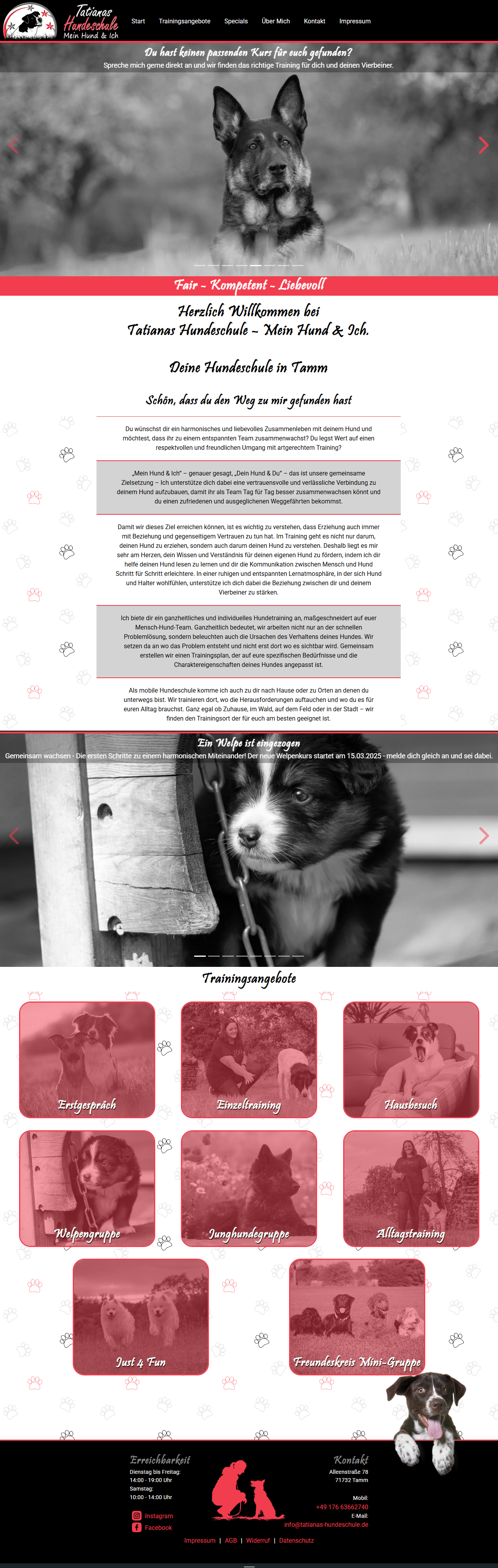 Desktopvorschau Tatianas Hundeschule